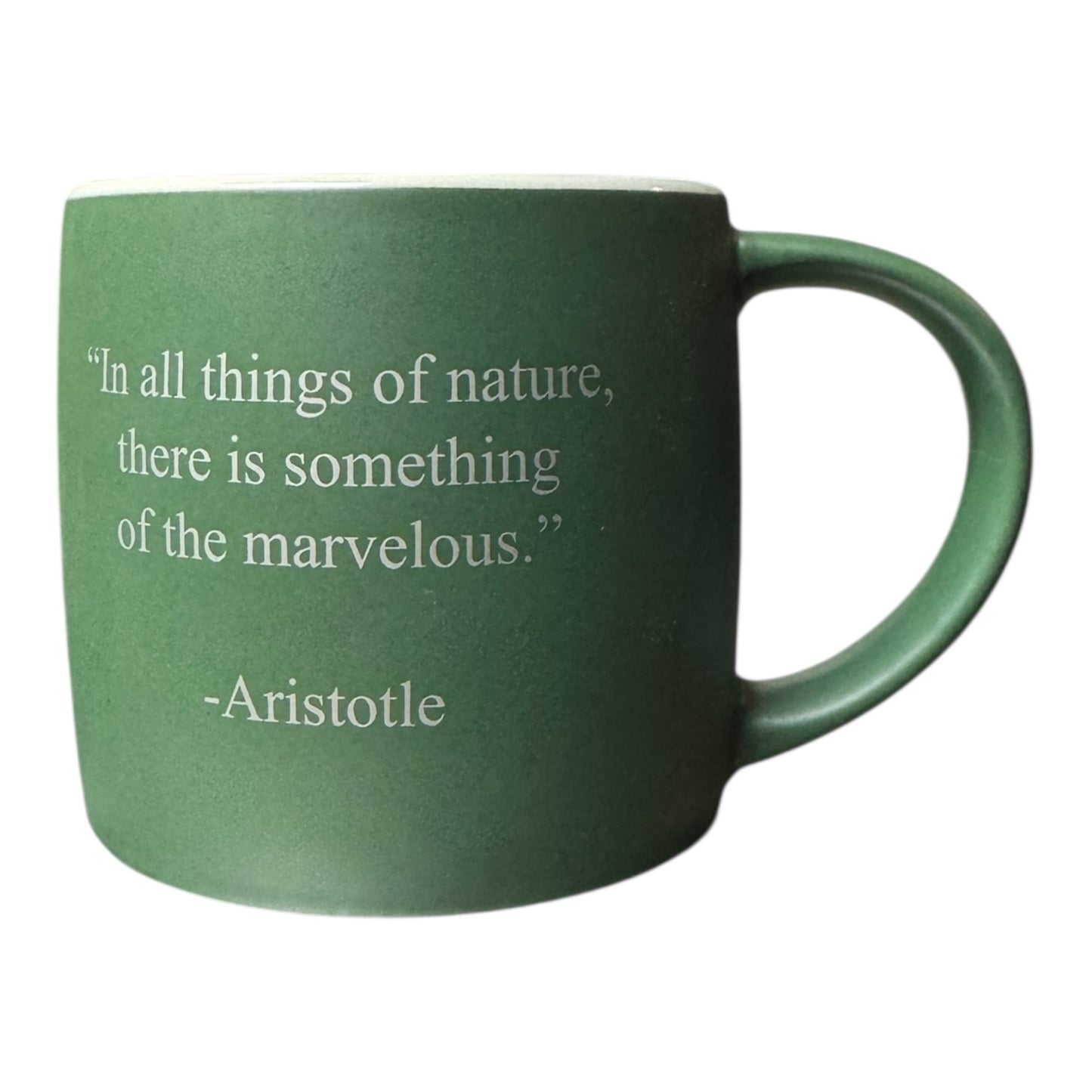 Oyster Coffee Mug green