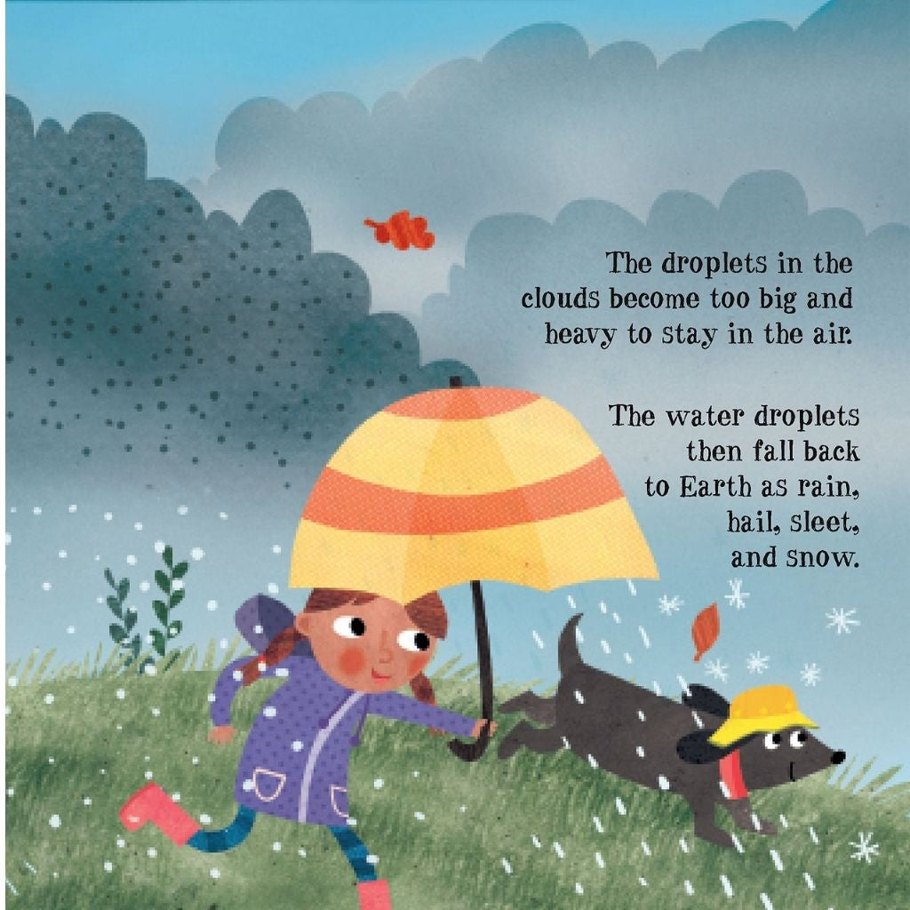 the great big water cycle adventure childrens book oyster bamboo fly rods