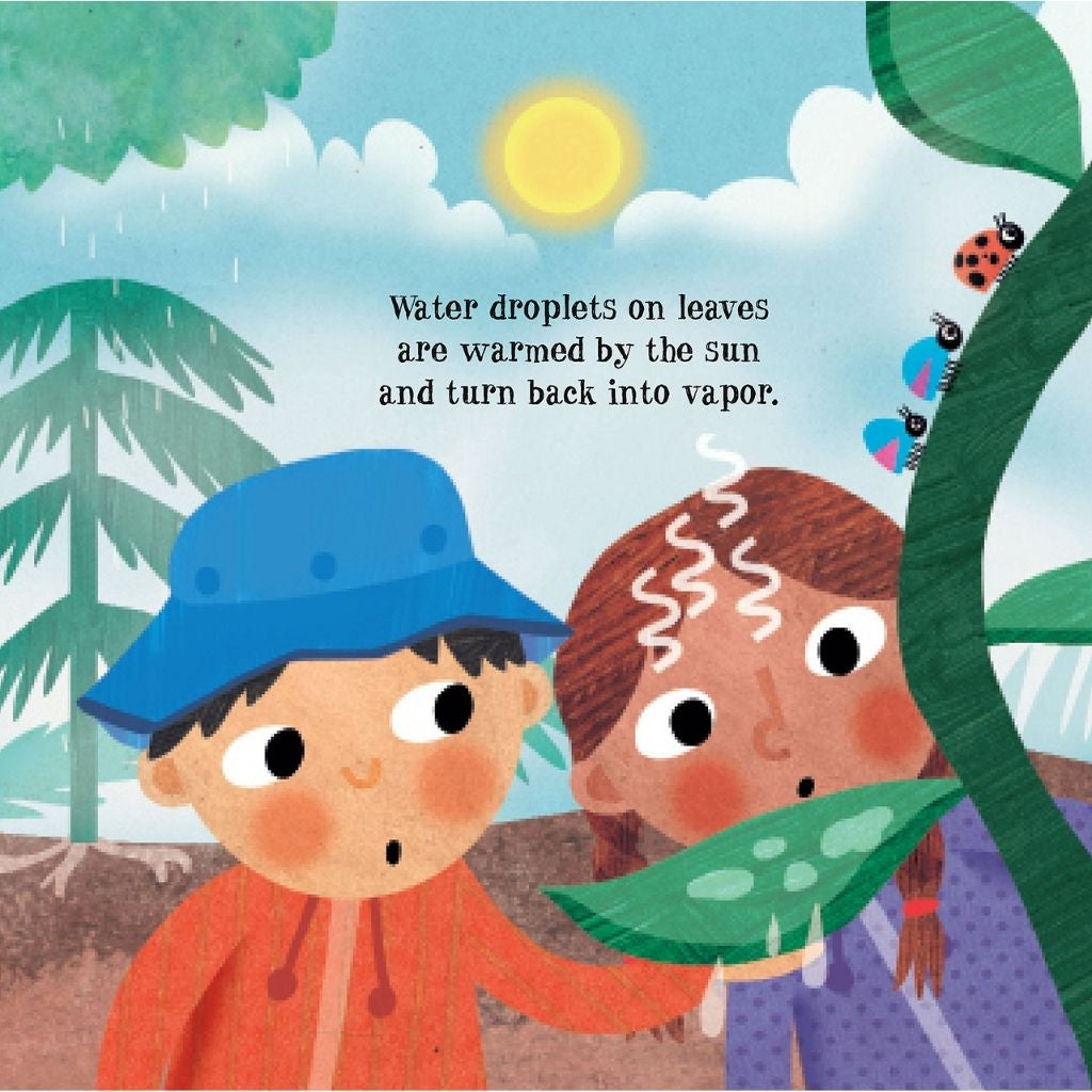 the great big water cycle adventure childrens book oyster bamboo fly rods