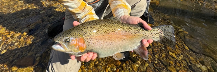 Friends and Bamboo Fly Rods