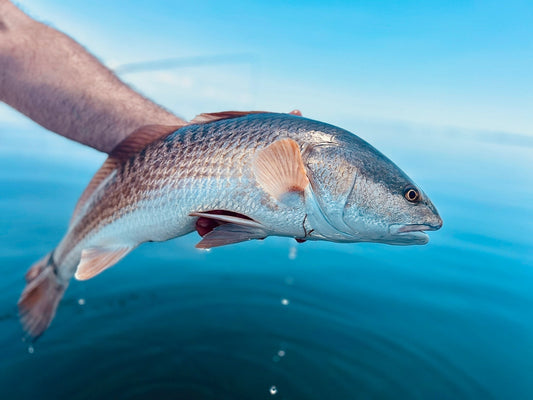 Oyster Crew’s 2025 Fishing Trip