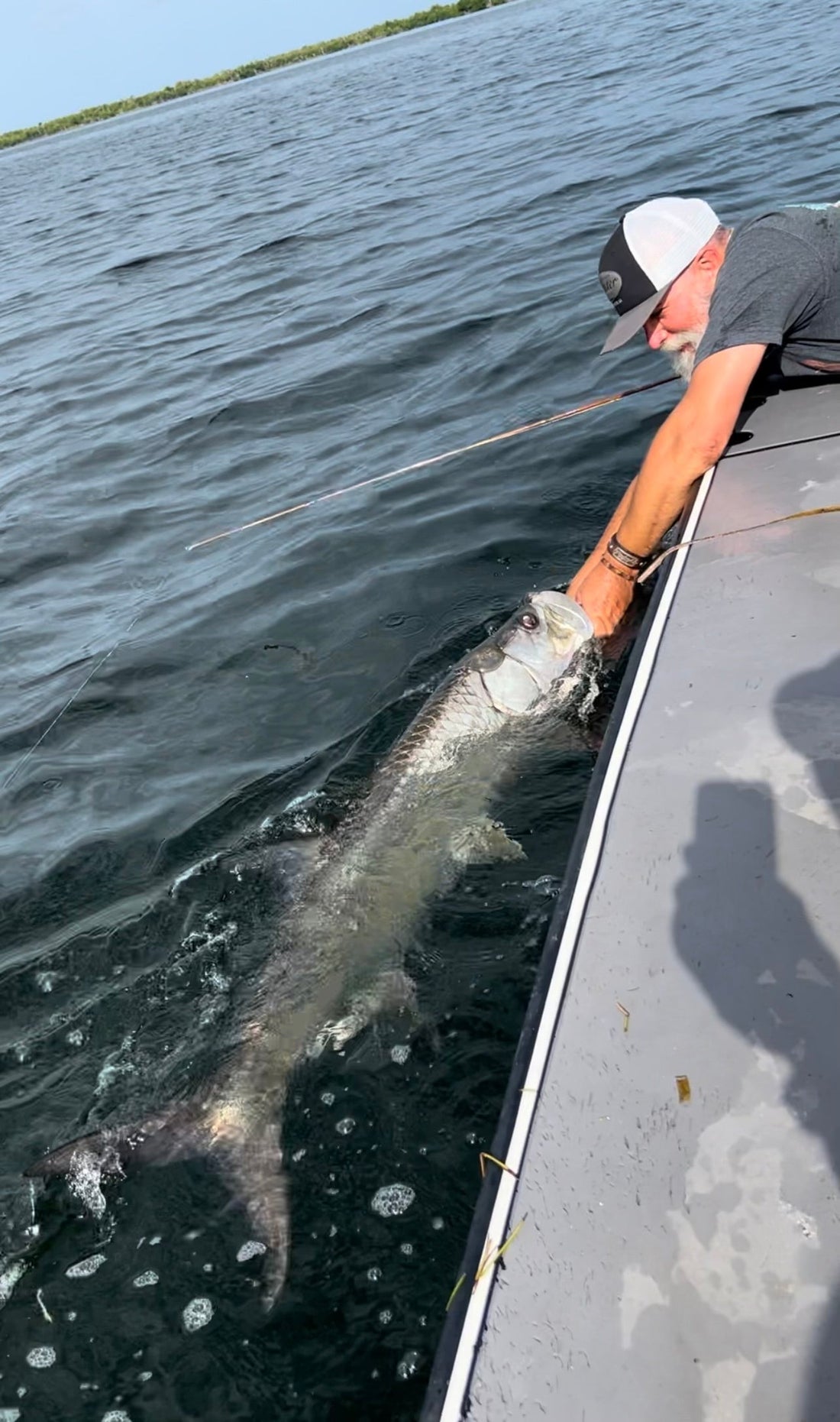 Tarpon on an Oyster 12wt Salt Series