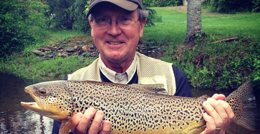 Brown Trout