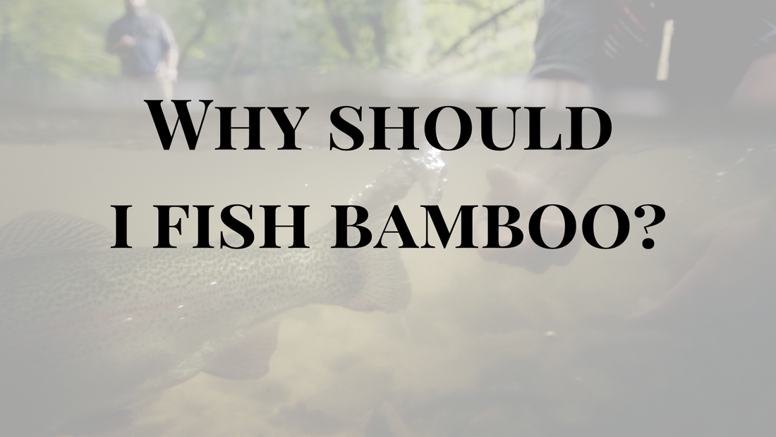 Why Should I Fish A Bamboo Fly Rod?