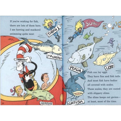 wish for a fish childrens book oyster bamboo fly rods